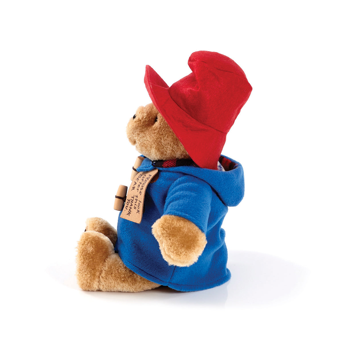 Rainbow Medium Plush Paddington Bear