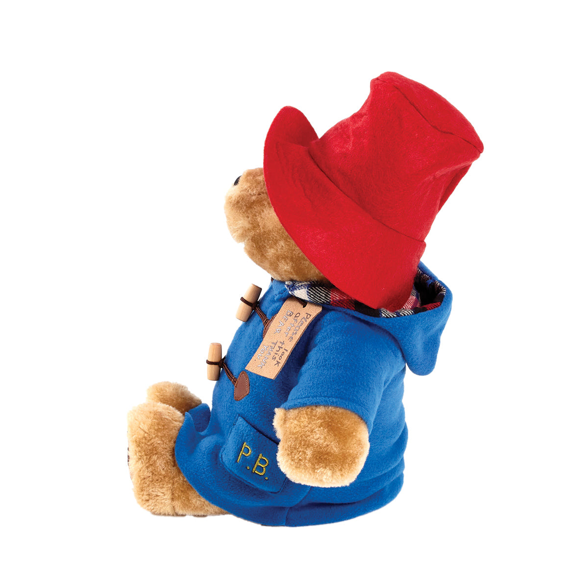 Rainbow Large Plys Paddington Bear