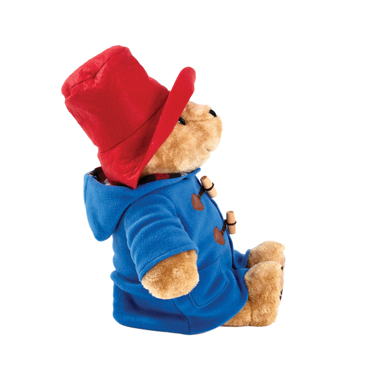 Rainbow Large Plys Paddington Bear