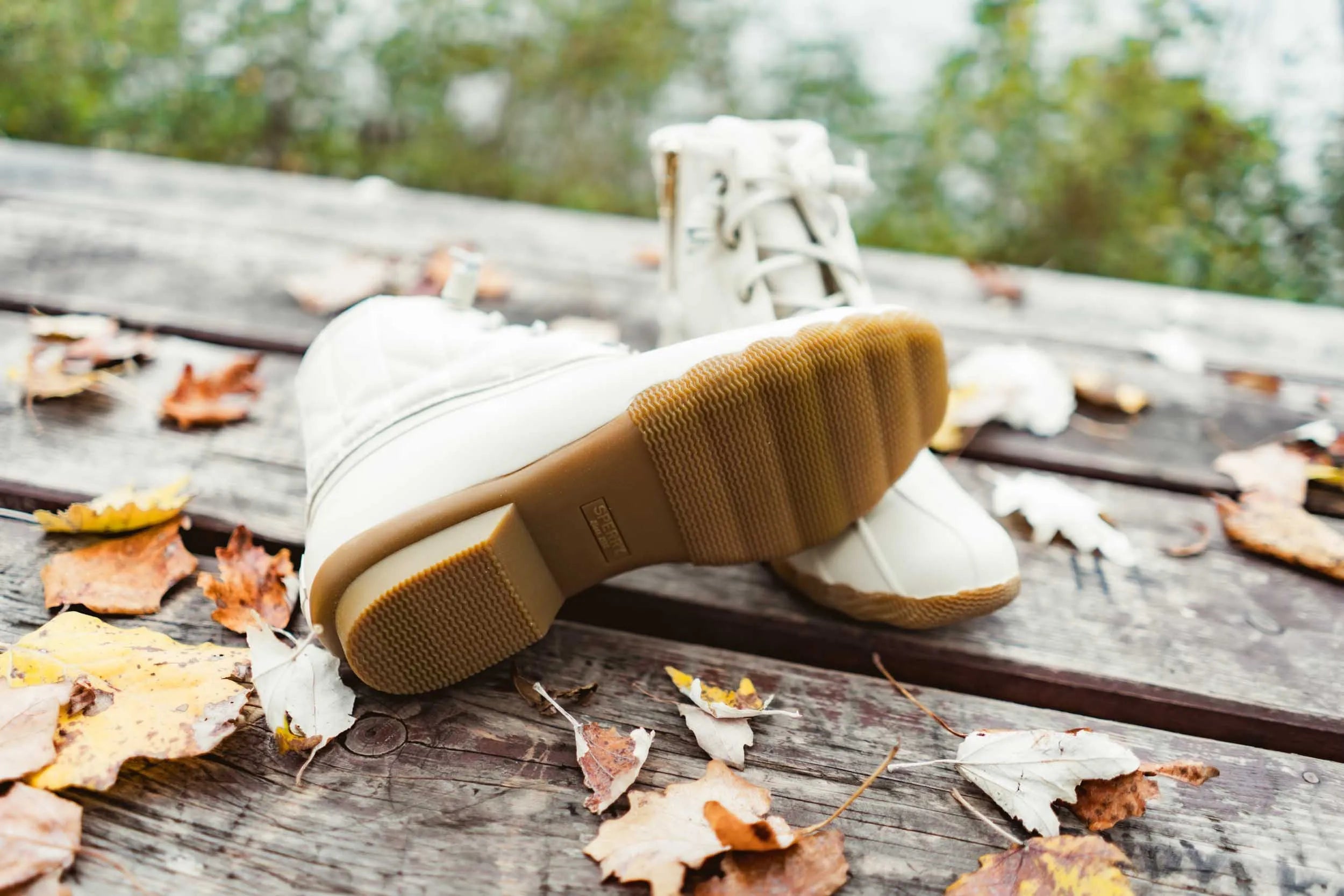 Women's Winter Boots Sperry Wms Saltwater Ivory White