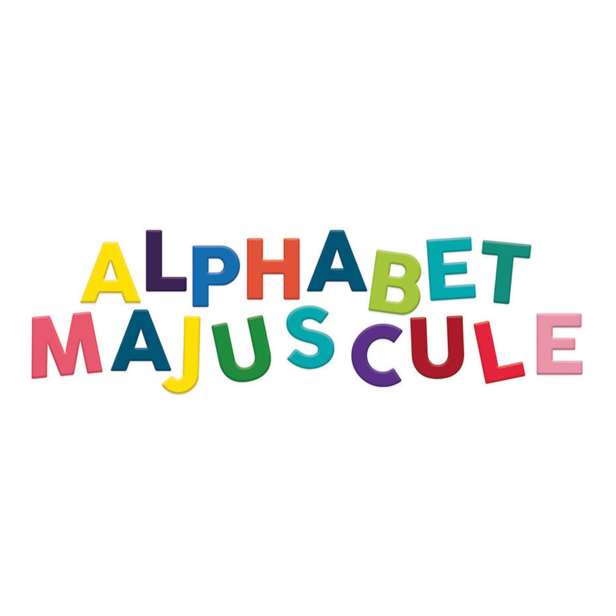 Vilac Wooden Magnetic Alphabet