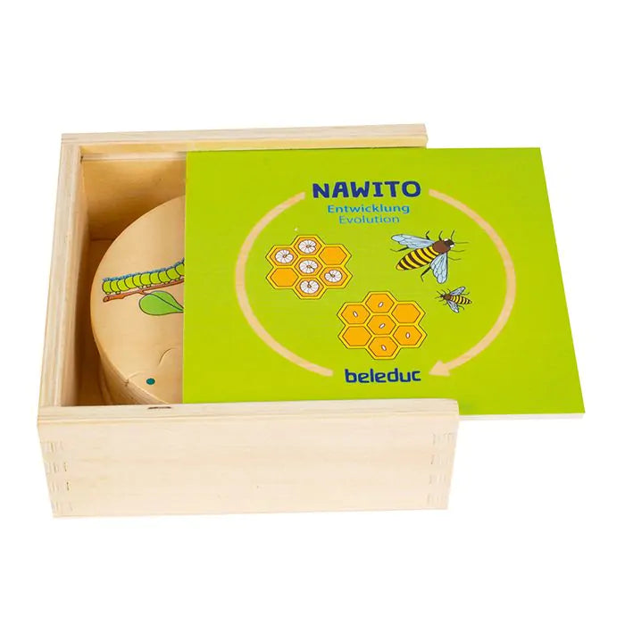 Beleduc Nawito Evolution