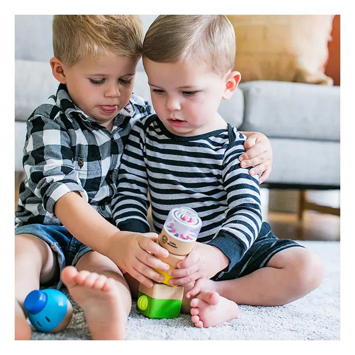 Hape - Baby Einstein Four Fundamentals