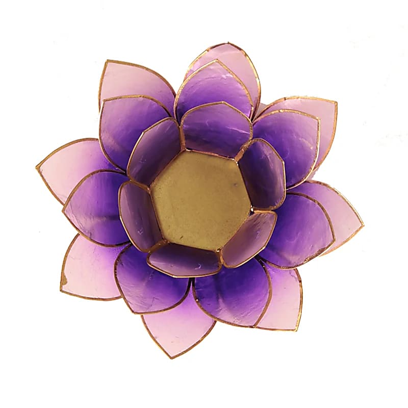 Finiture in oro viola chiaro atmosferico di loto - 13,5 cm