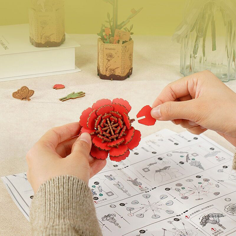 Robotime 3d Wooden Nail Puzzle