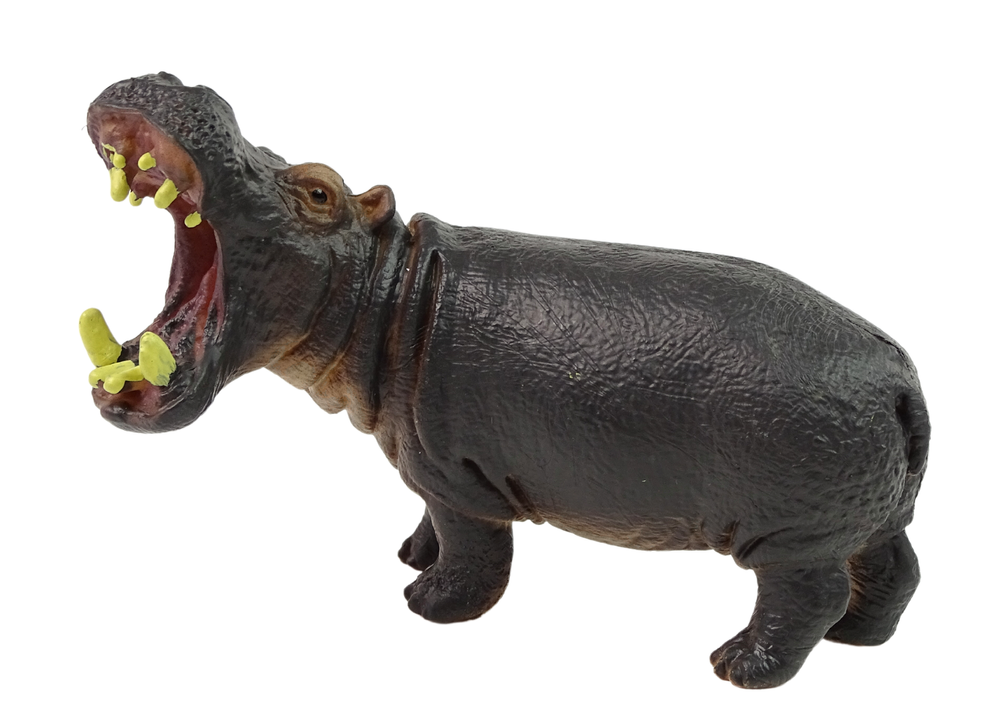 Collector's Figurine Hippopotamus Animals Of The World