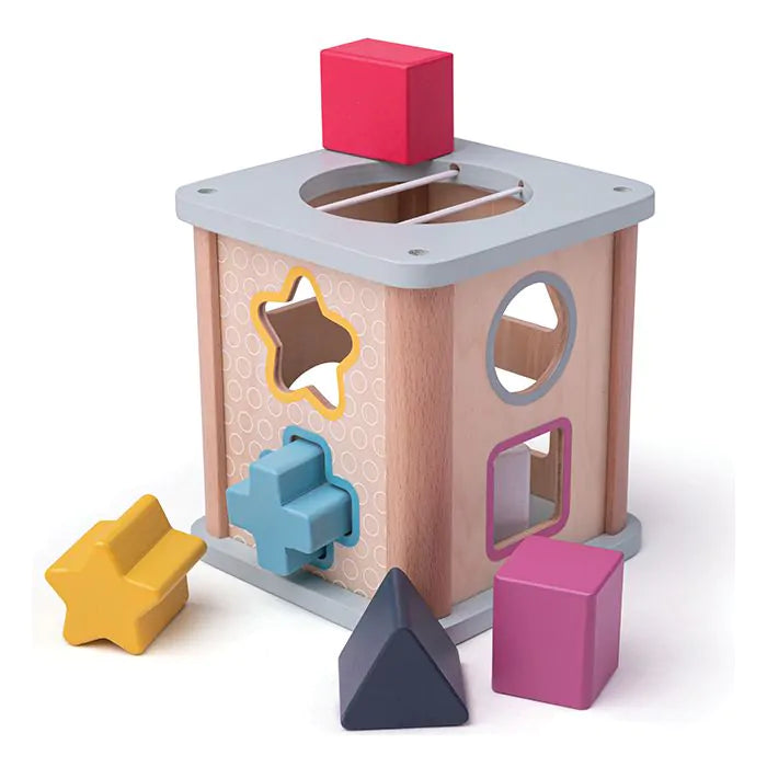 Bigjigs Shape Sorter