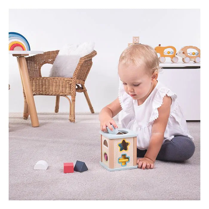 Bigjigs Shape Sorter