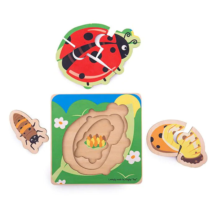Bigjigs Lifecycle Layer Puzzle - Ladybug