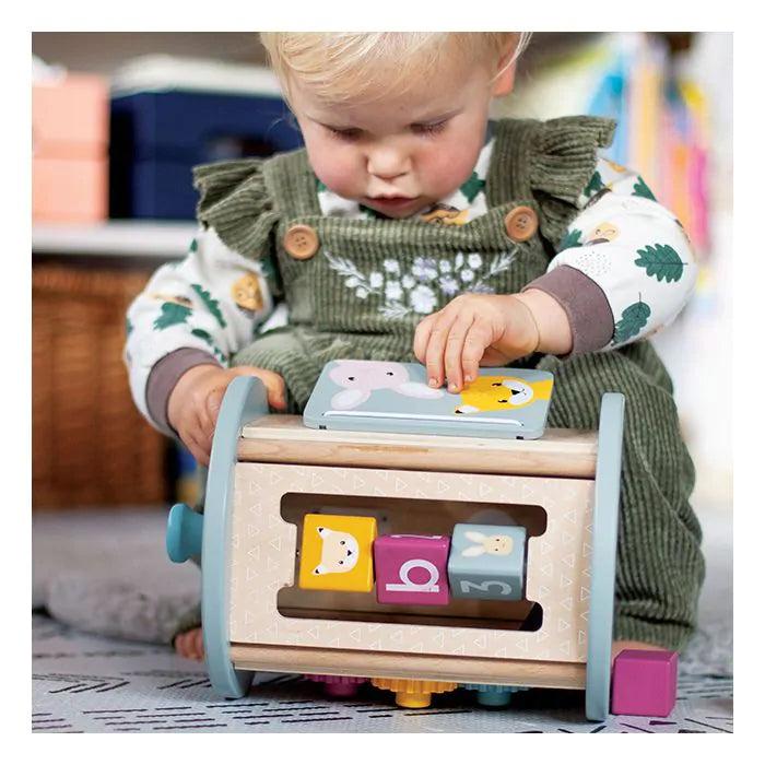Bigjigs Rolling Activity Center