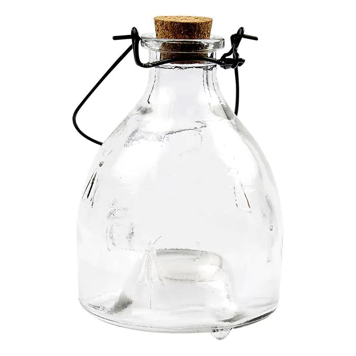 Craft A Glass Wasp Trap