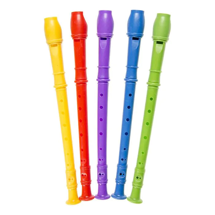 Toy Recorder