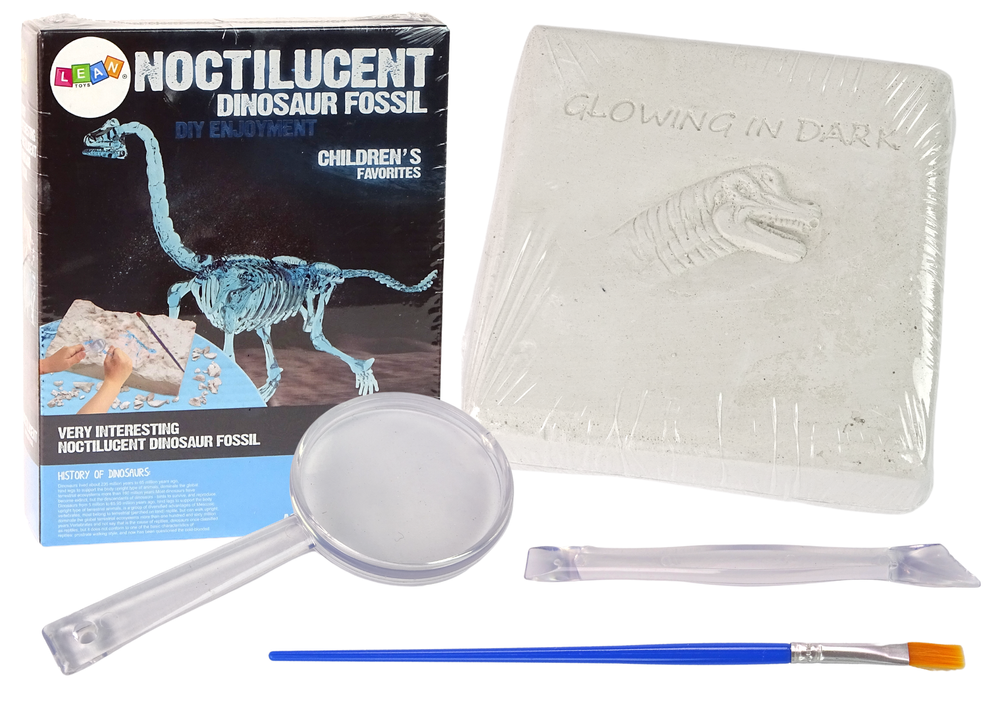 Kit d'excavation archéologique squelette de dinosaure hologramme de brachiosaure 3d