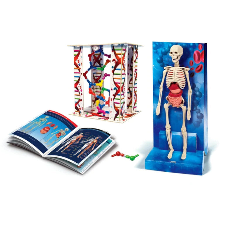 Ciencia Diversión Cuerpo Humano Idioma Polaco Clementoni 60249