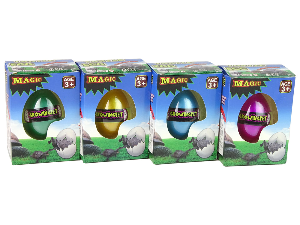 Wylęgowe jajo magicznego żółwia rosnące 6 cm.