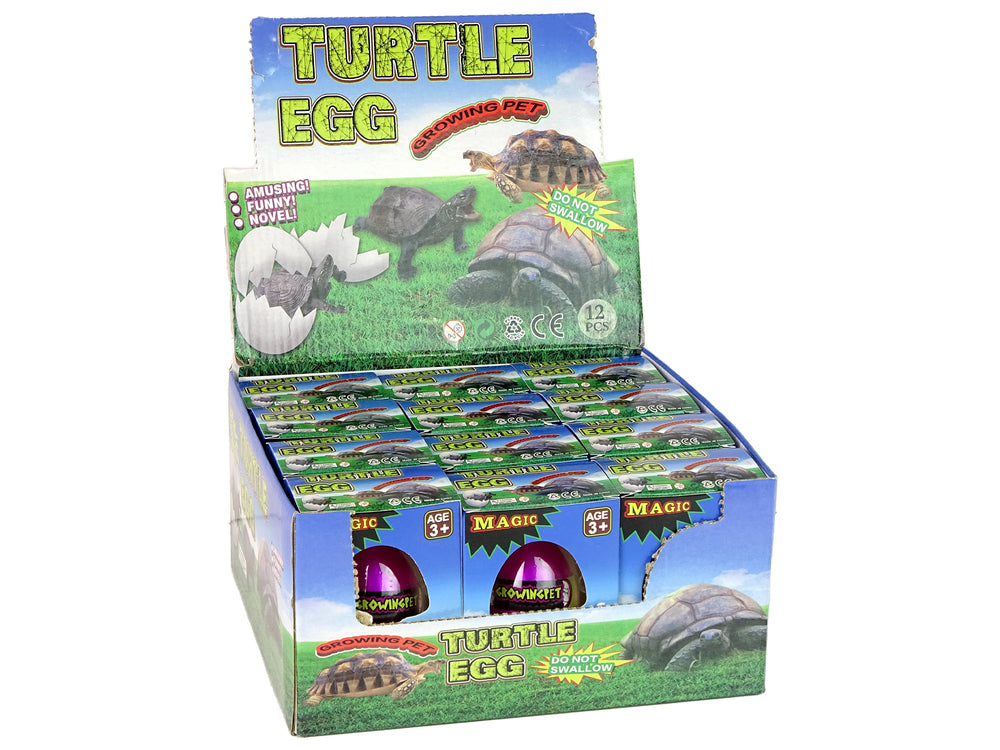 Hatching Magic Turtle Egg Growing 6 Cm.