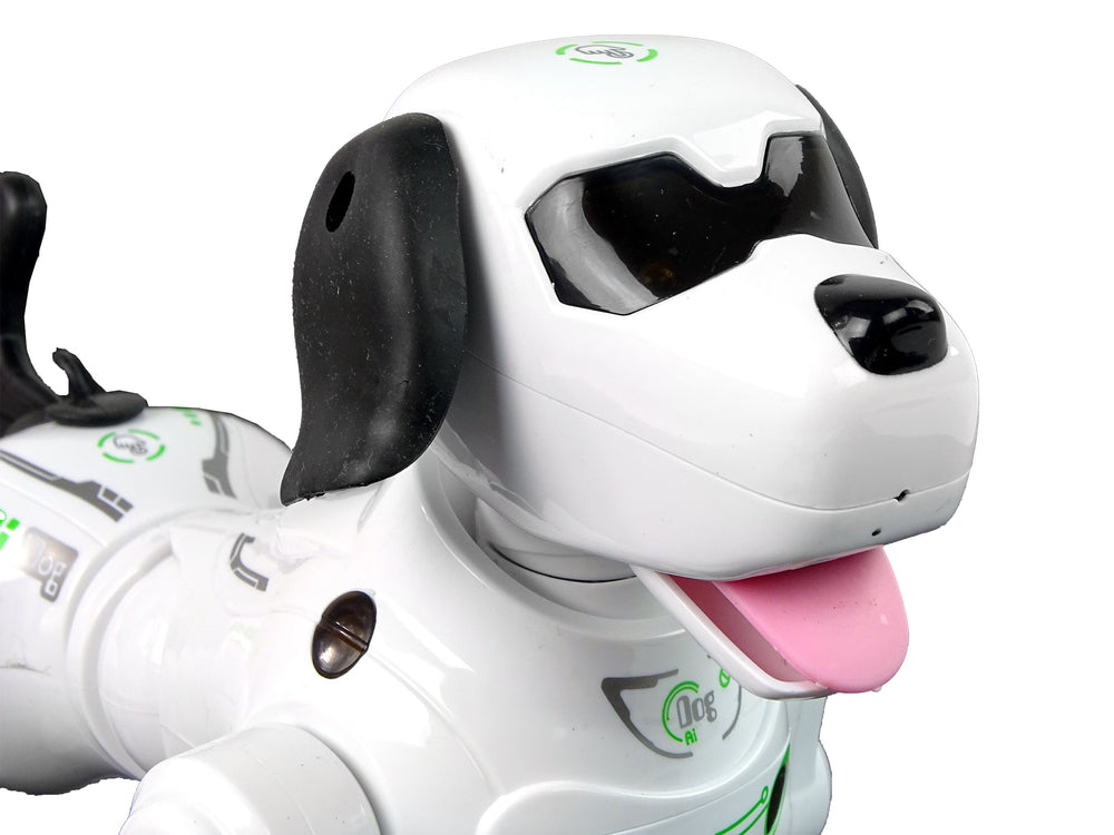 Interactive Remote Controlled Robot Doggy