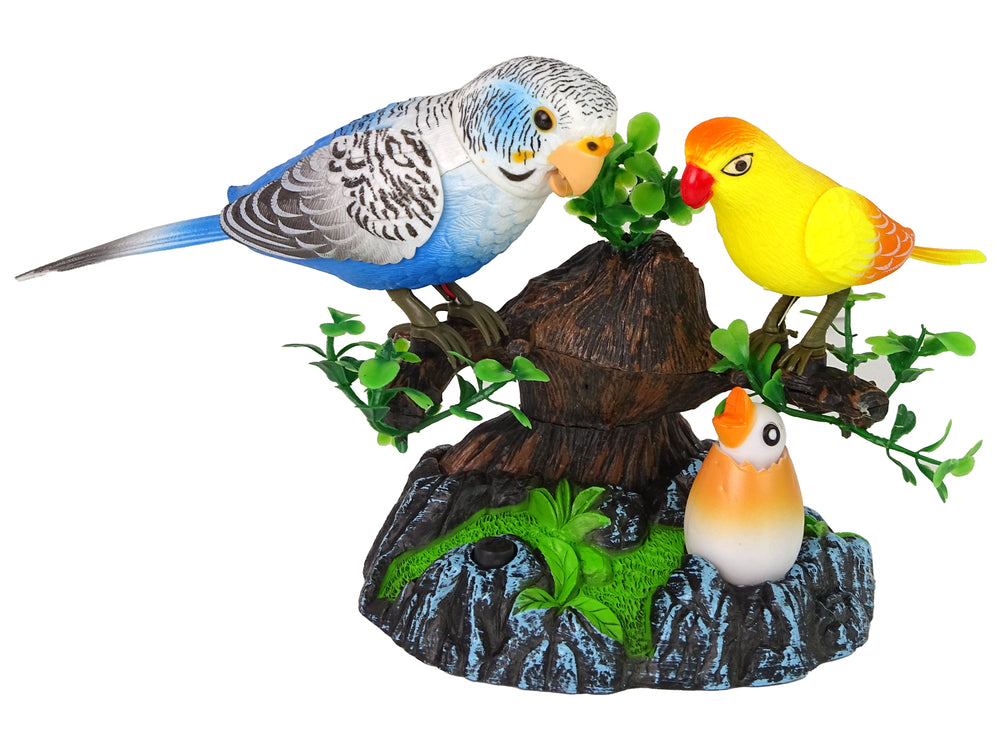 Singing Moving Parakeets Colorful Tree