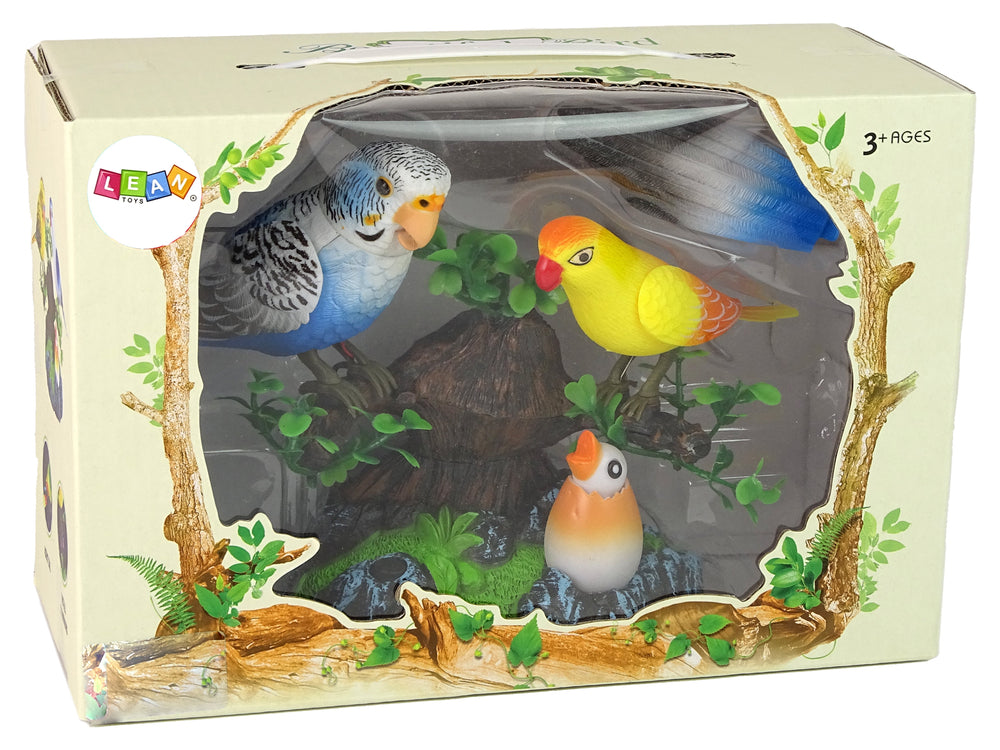 Singing Moving Parakeets Colorful Tree