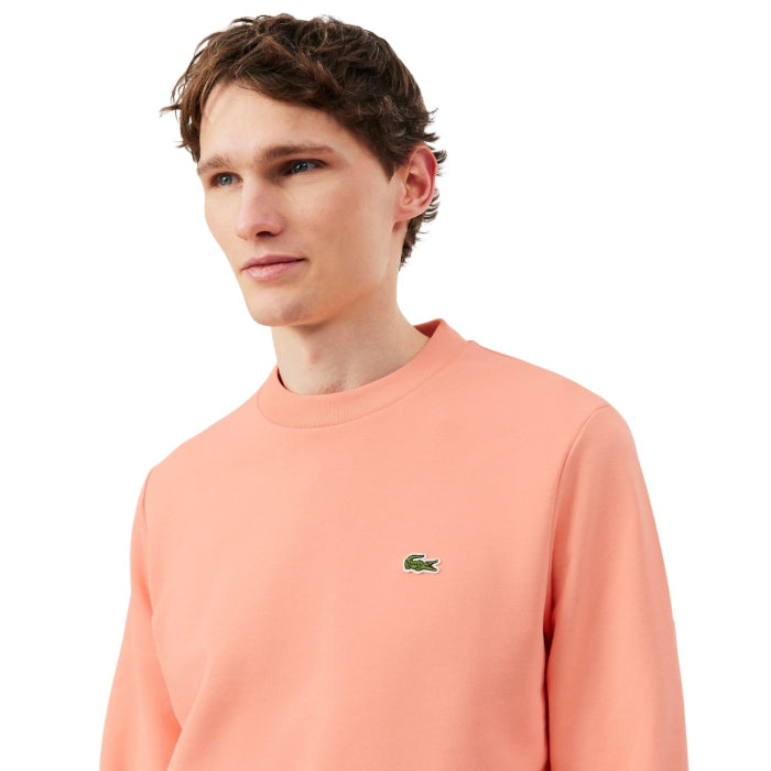 Príležitostný pánsky sveter Lacoste