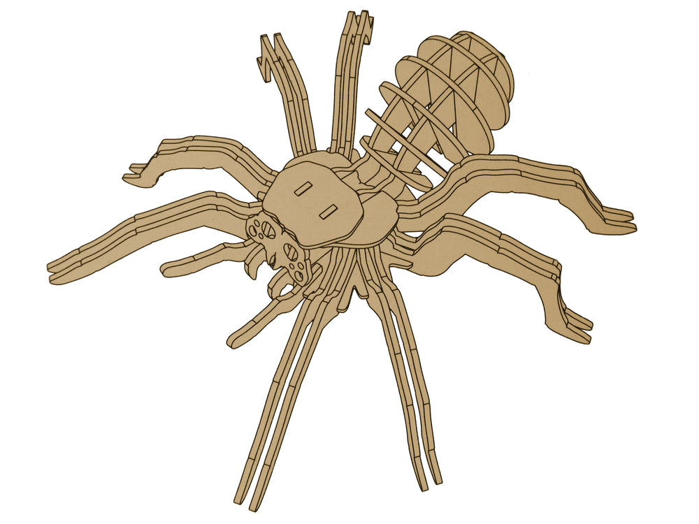 Combinazione educativa di puzzle 3D in legno con ragno 31 elementi