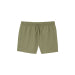 Lacoste Men's Swim Shorts