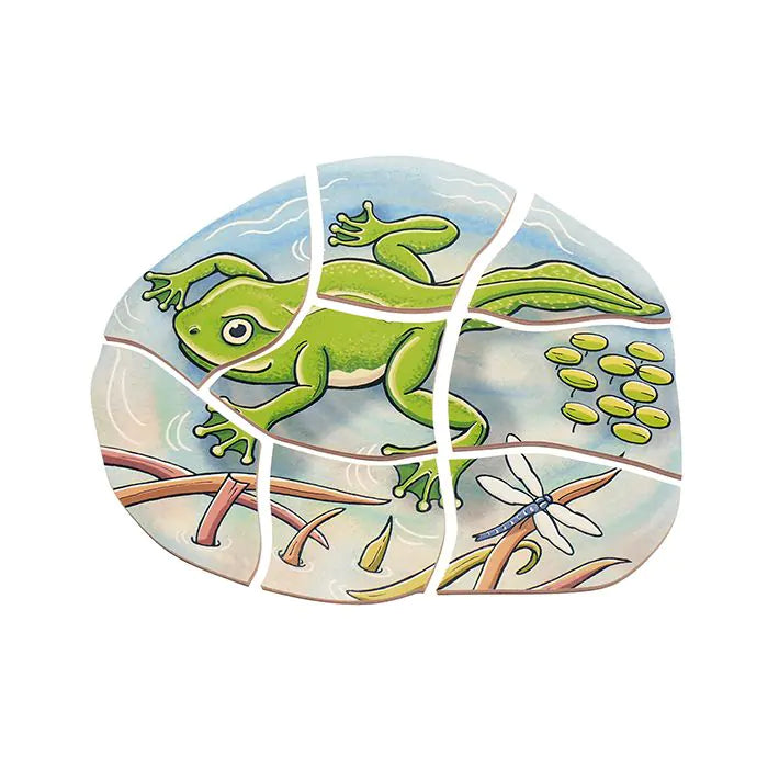 Beleduc Layer Puzzle Frog