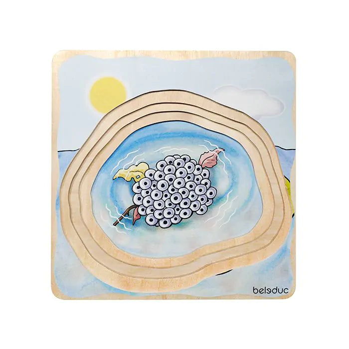 Beleduc Layer Puzzle Frog