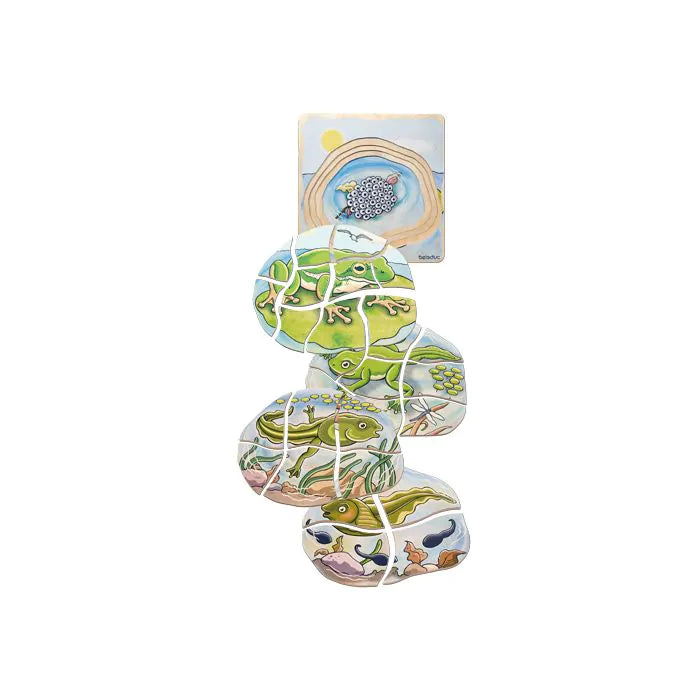 Beleduc Layer Puzzle Frog