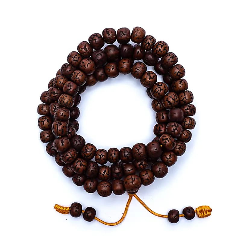 Mala Rudraksha 108 Perle Lucide - 1,0 Cm