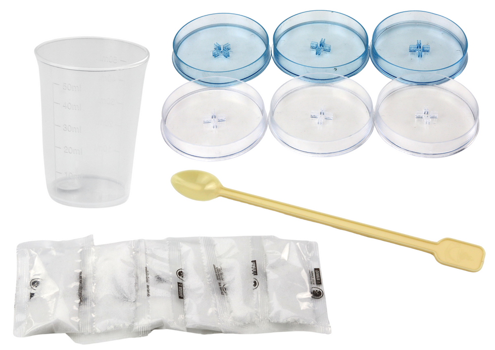 Creative Educational Kit For Growing Crystal Trees