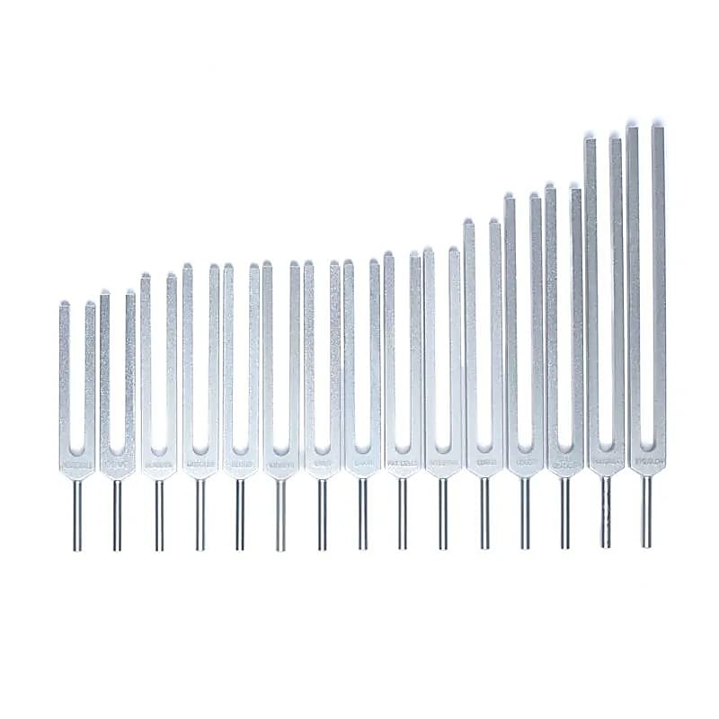 Set Diapază Organe Umane - 69x29 Cm