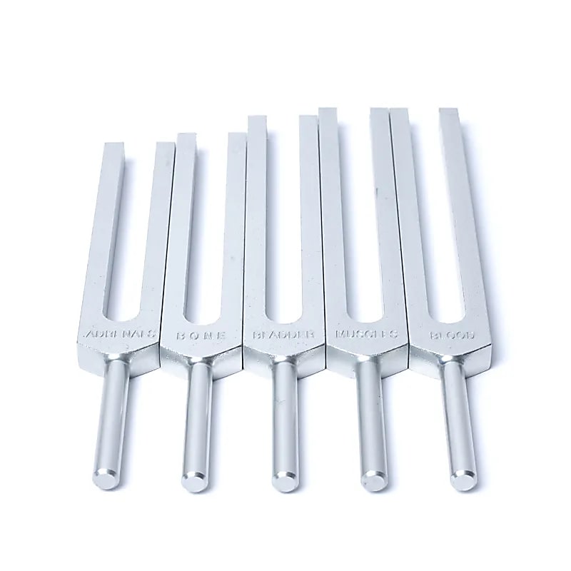 Set Diapază Organe Umane - 69x29 Cm