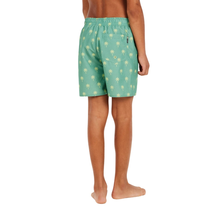 Protest Boys' Swim Shorts