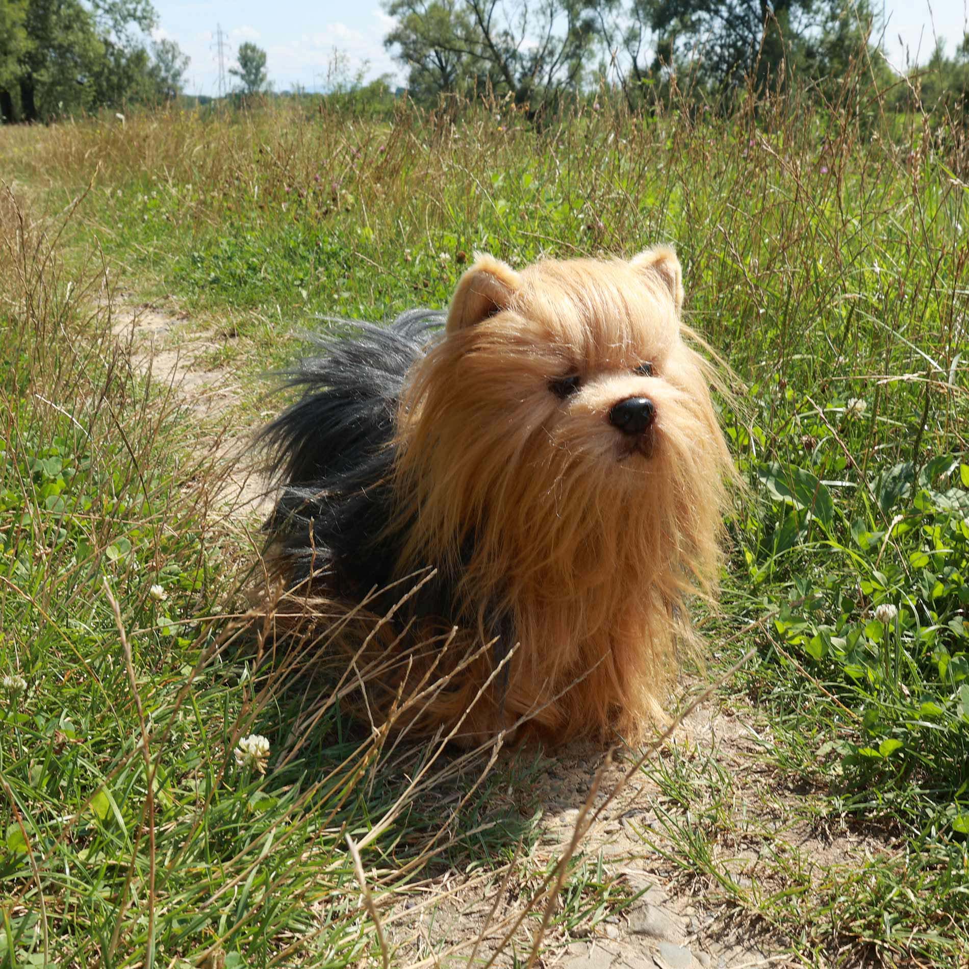 Plysch Yorkshire Terrier 30 Cm Miljövänlig