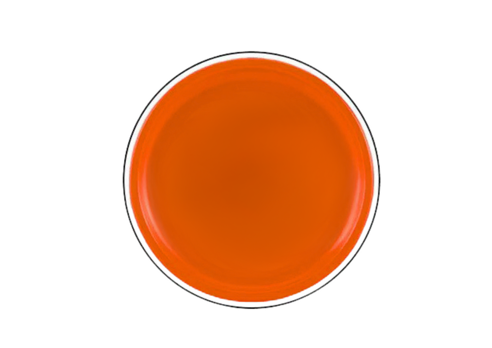 Flying Disc Frisbee With Dinosaur Orange 20 Cm