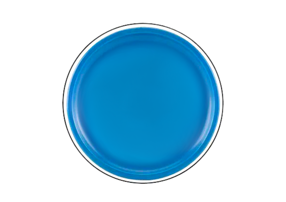 Flying Disc Frisbee With Dinosaur Blue 20 Cm