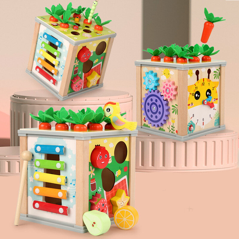 Wooden Educational Cube Sorter 5in1 Puzzle Box Blocks