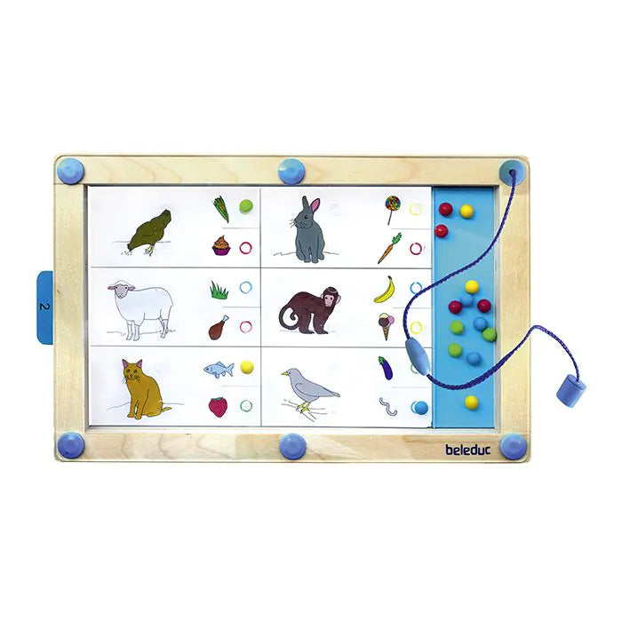 Beleduc Logiplay
