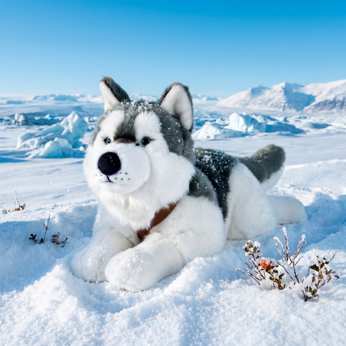 Peluche Husky Con Pettorina 60 Cm Ecologico
