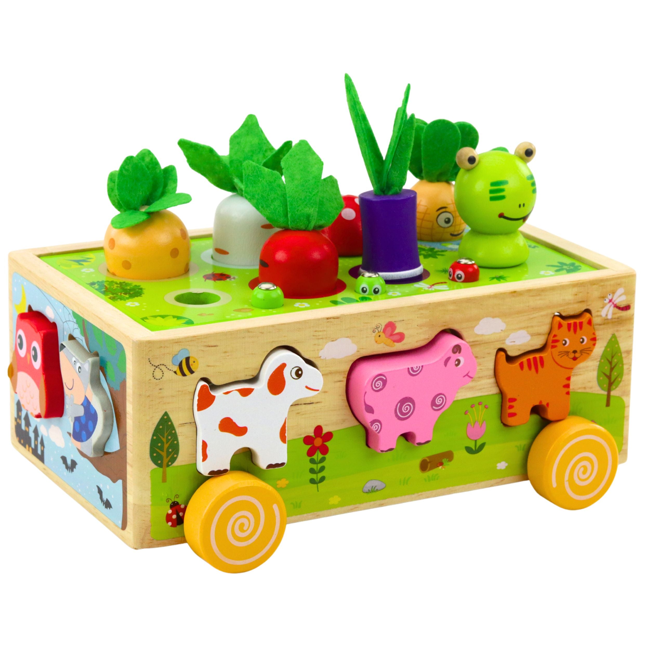 Wooden Educational Toy Happy Farm Magnetic Worm Sorter