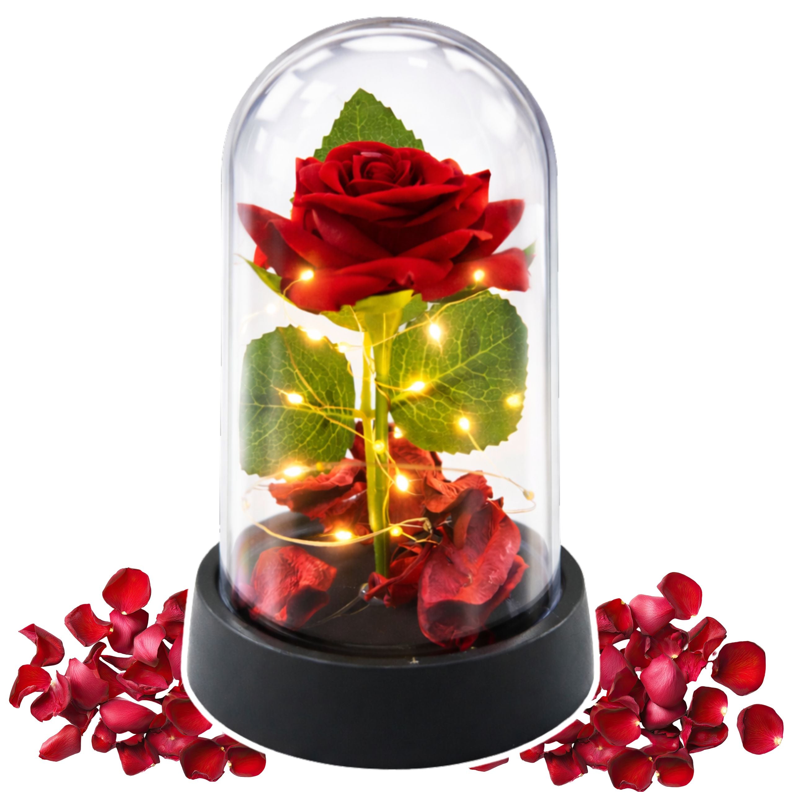 Eternal Rose In Dome With Led Lighting Red With Rose Petals 14x8cm