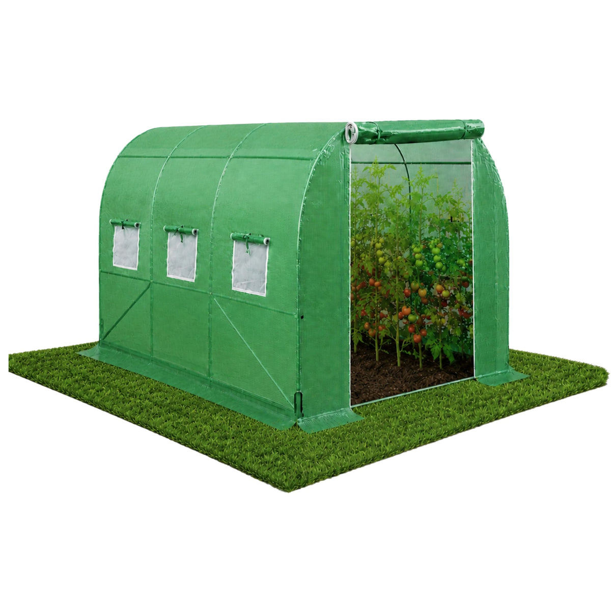 Tunnel Uv Verde Per Verdure Con Finestre 2x3 M 6m²