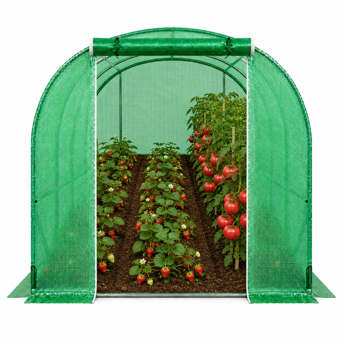 Tunnel Uv Verde Per Verdure Con Finestre 2x3 M 6m²