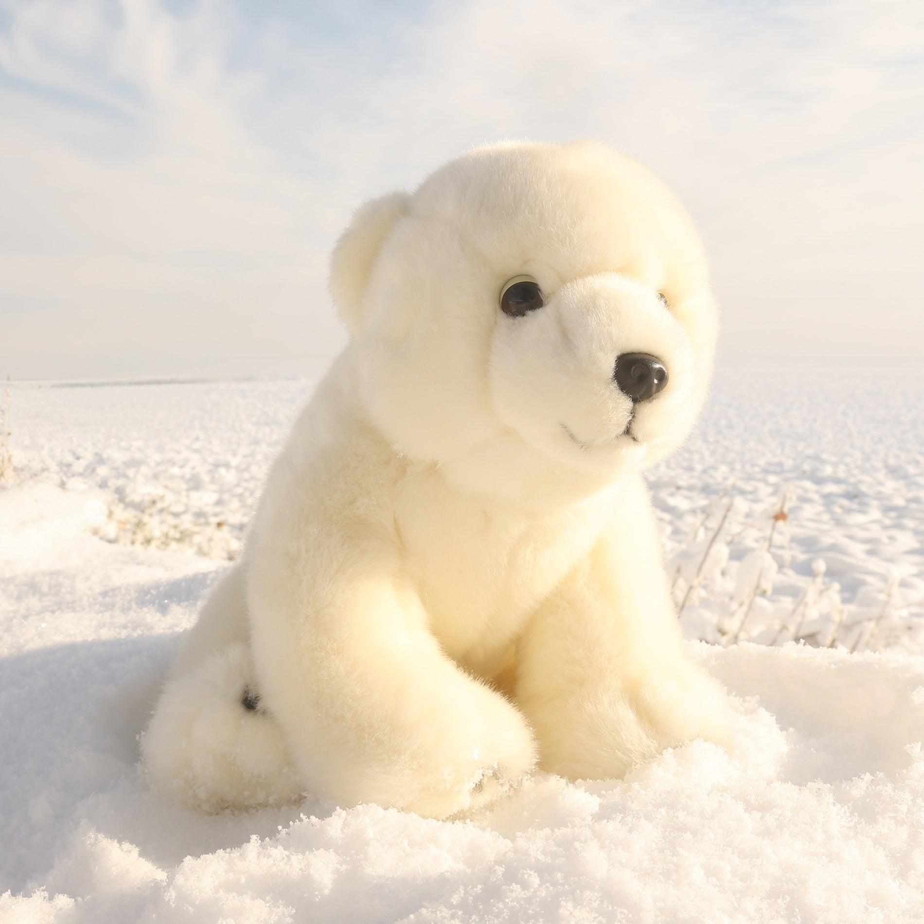 Plush Polar Bear 28 Cm Eco-friendly