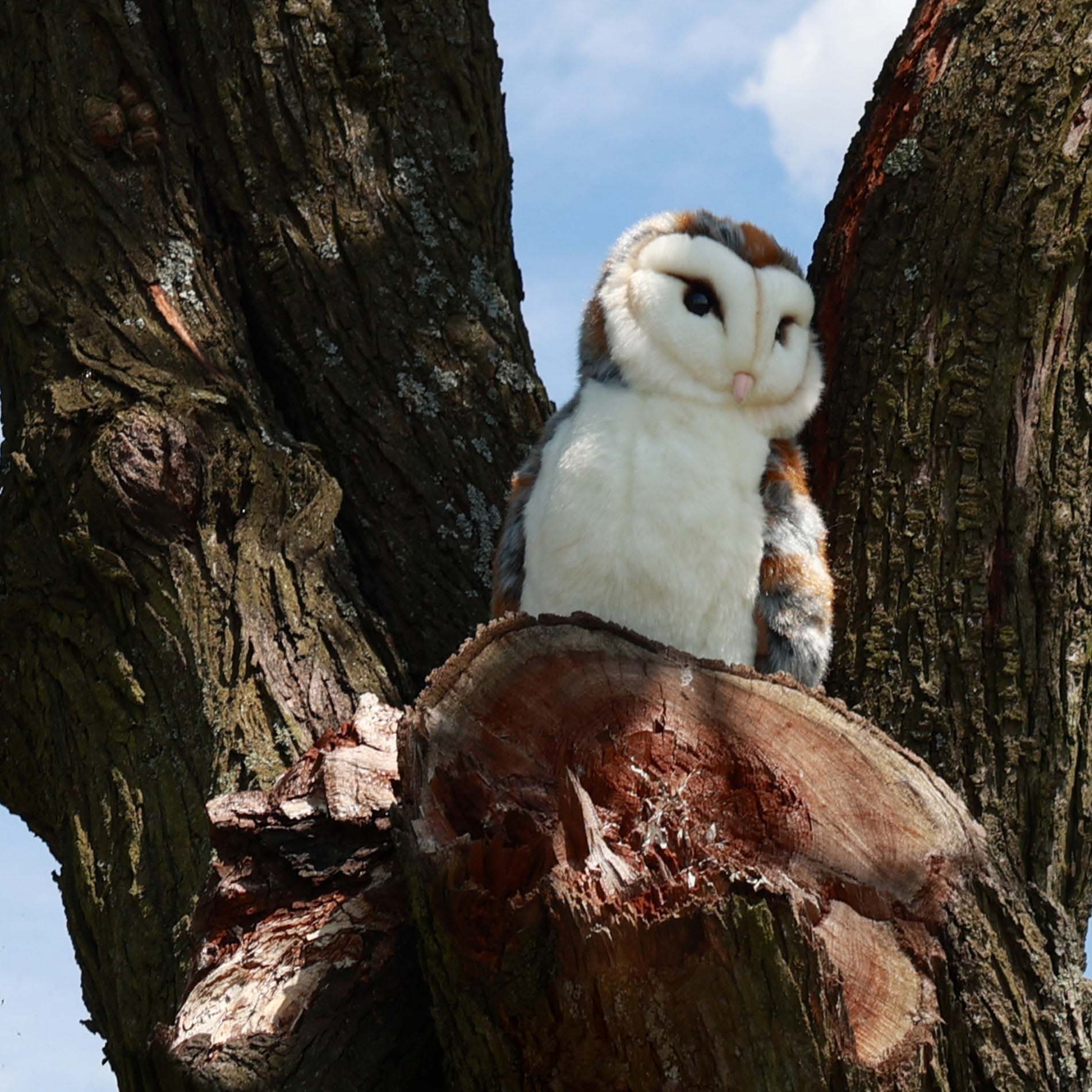 Plush Common Barn Owl 27 Cm Eco-friendly