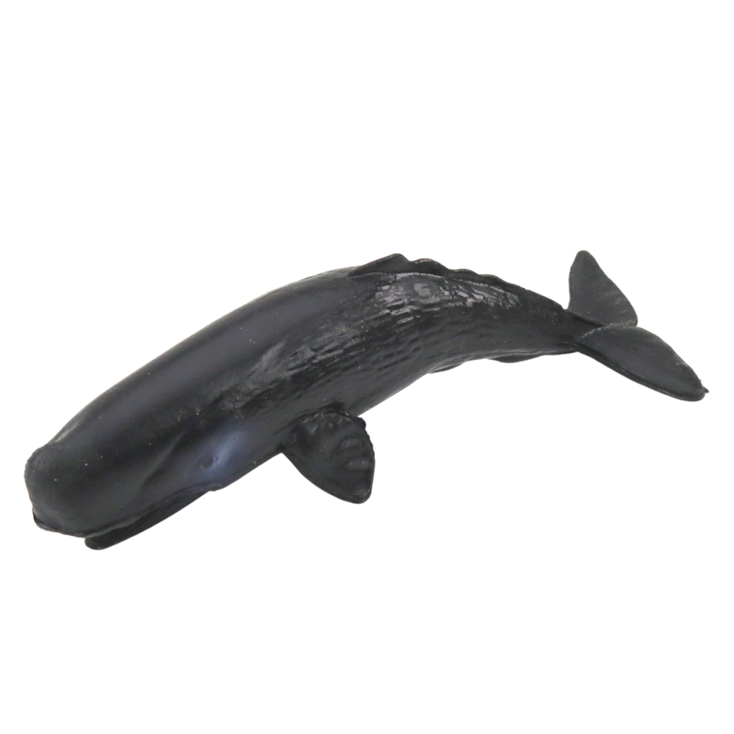 Mini Figurine Set Marine Animals Mammals Killer Whale Photo Dolphin 6-8cm 6pcs