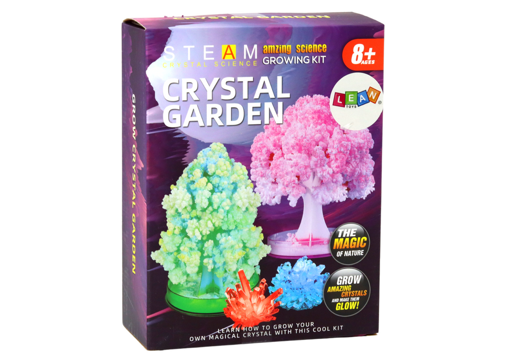 Educational Kit Experience Growing Crystal Trees