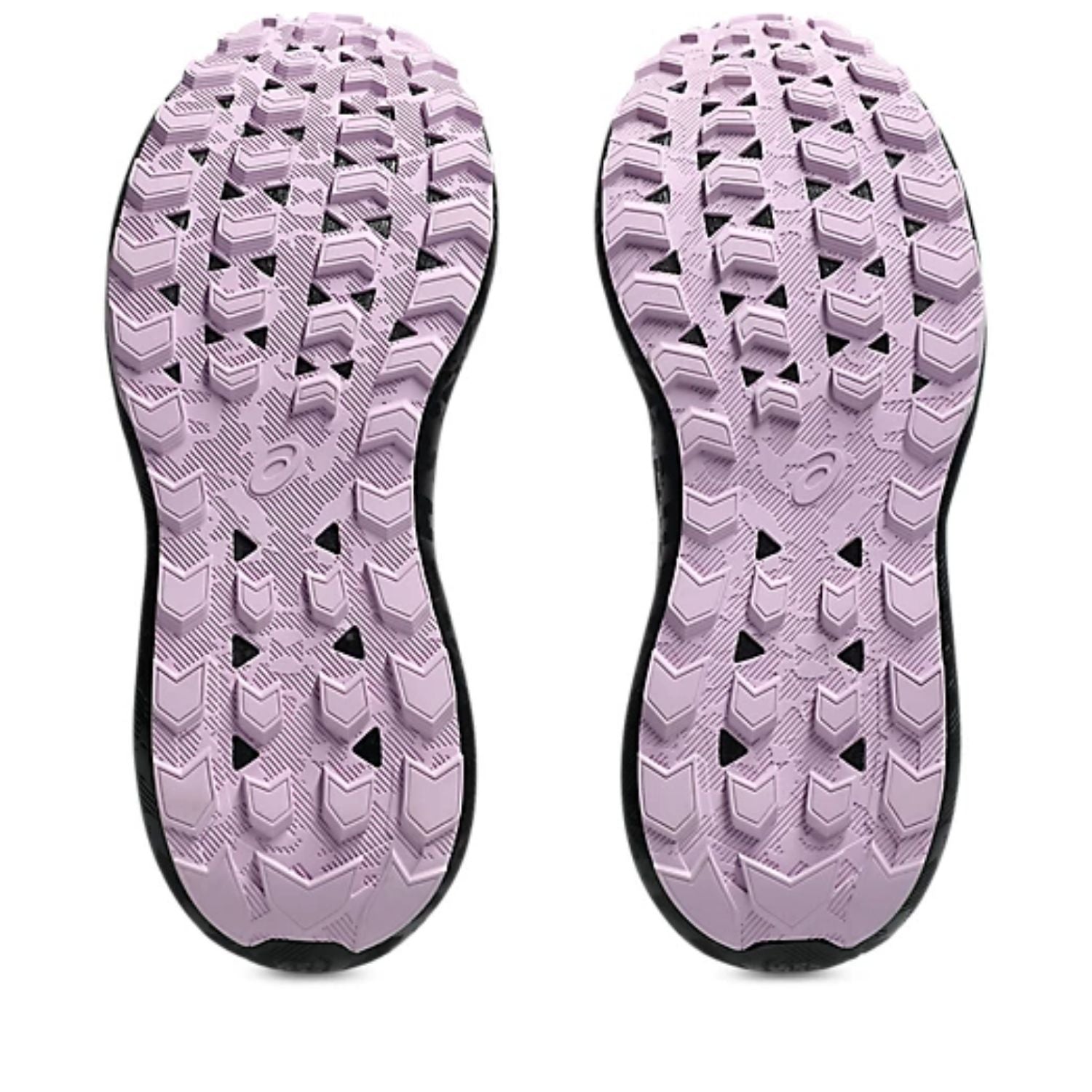 Asics Trail Shoes Women
