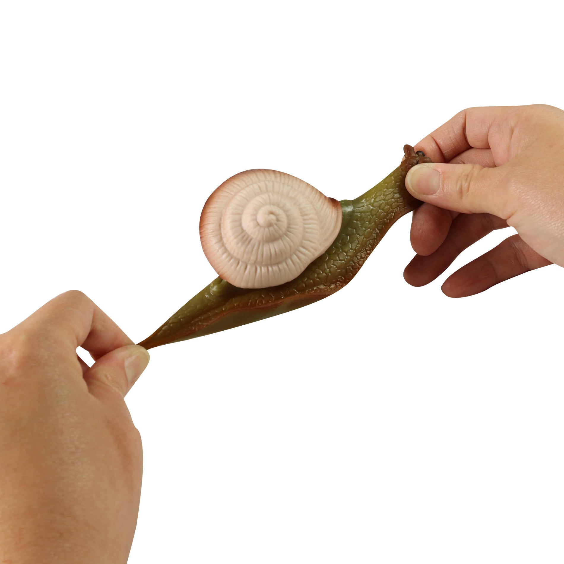 Snail 11 Cm